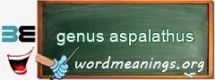 WordMeaning blackboard for genus aspalathus
